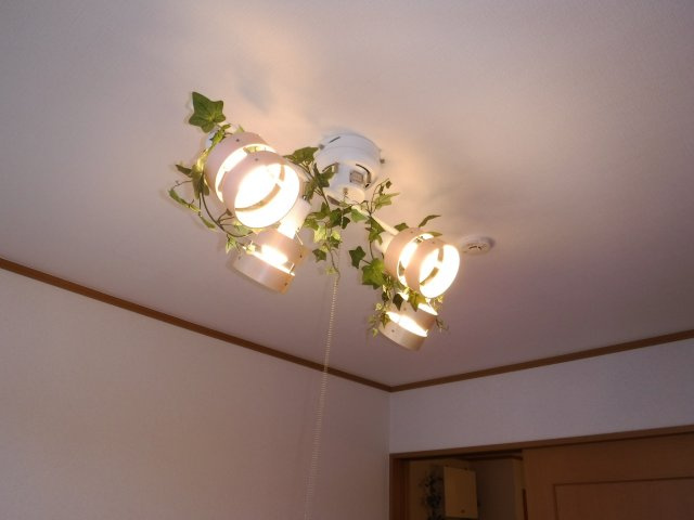 ソレーユハイムの設備|他のお部屋の参考写真となります。