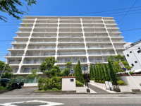宇喜田カメリアの画像
