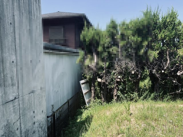 【周辺】の画像