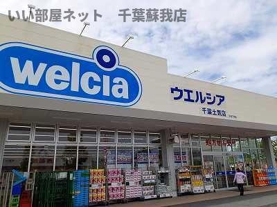 カモミールの周辺