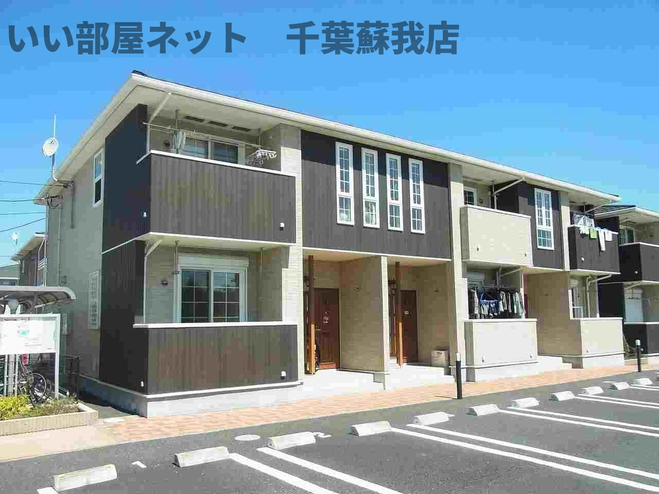 カモミール