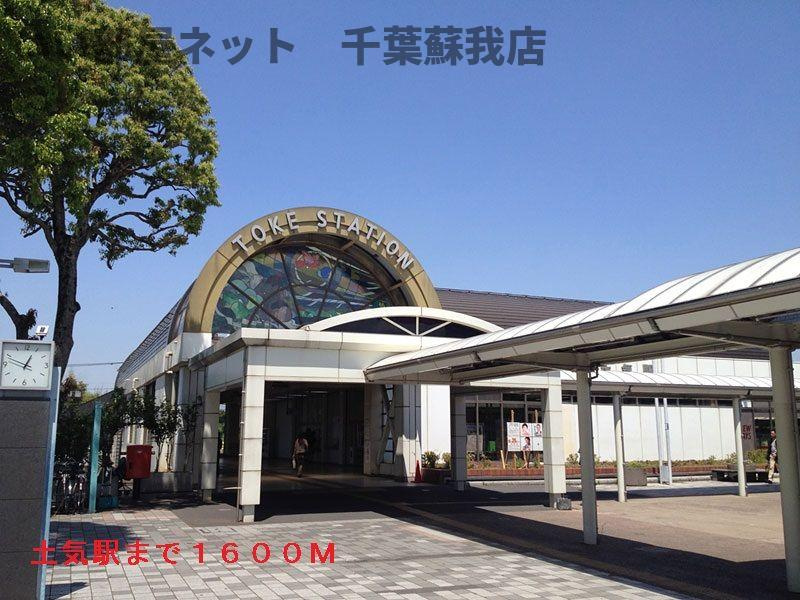 カモミールのその他