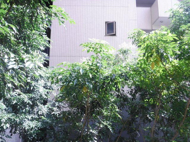 スカイコート武蔵小杉壱番館の展望|他のお部屋の参考写真となります。