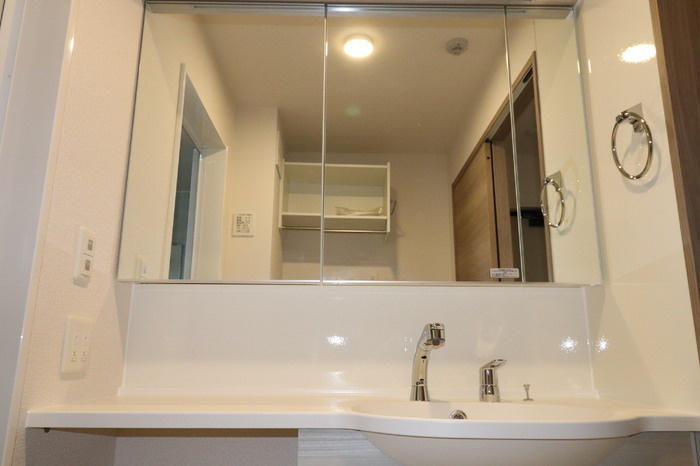 D-ROOM須屋（トリシア）の洗面所