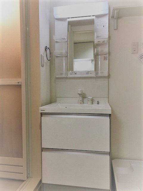 ハーモニーテラス東仙台Ⅷの洗面所|別物件・参考写真