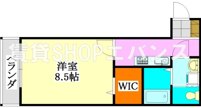 【間取り】 | AJ津田沼Ⅲ