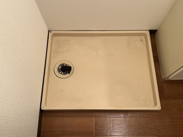 ウィステリア構のその他