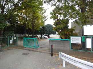 酒井根小学校 800m