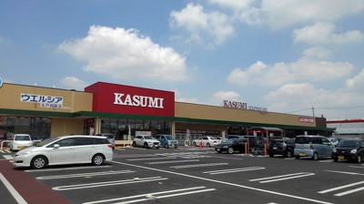 【周辺】 | エルディム岡崎Ａ | カスミフードスクエア水戸西原店まで850m