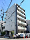 カミーノ　ＫＳの画像