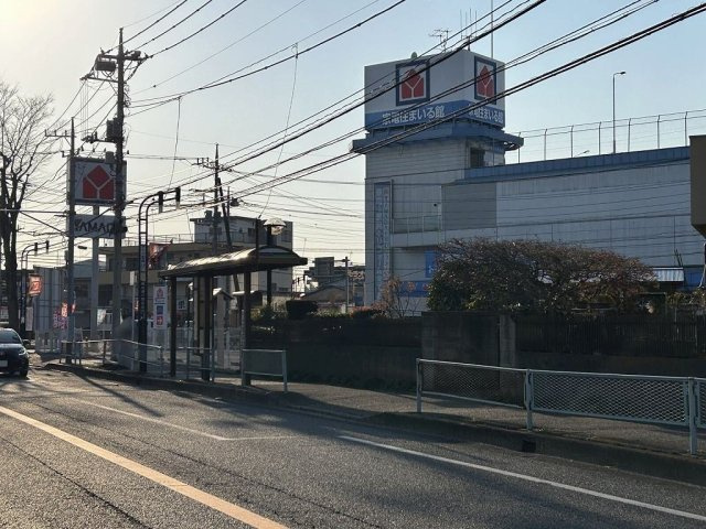 レオネクストひまわりⅡの周辺