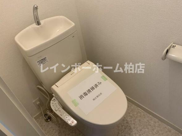 特典：仲介手数料が無料です!!のトイレ|落ち着いたトイレです