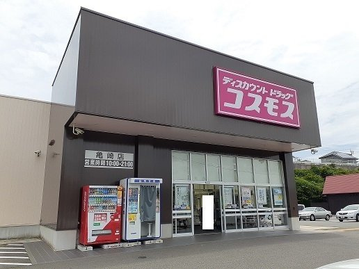 フランジールの周辺|コスモス亀崎店まで1100m