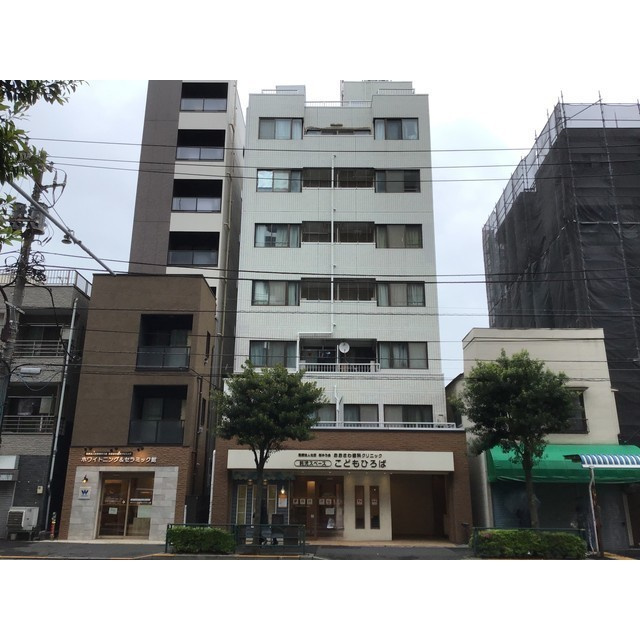 グリーンシャンク