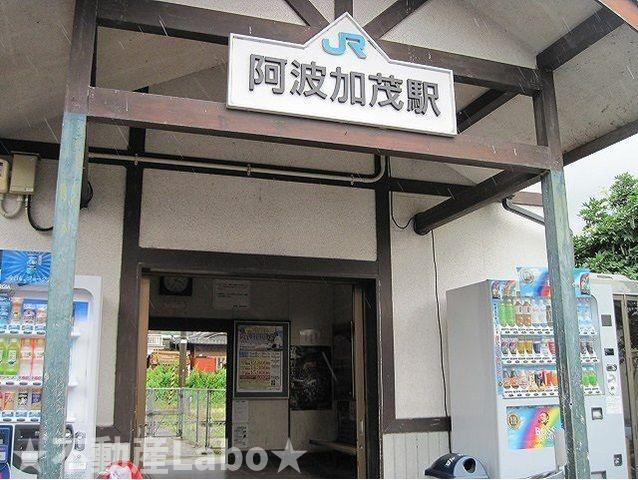クリステル　Ｂのその他