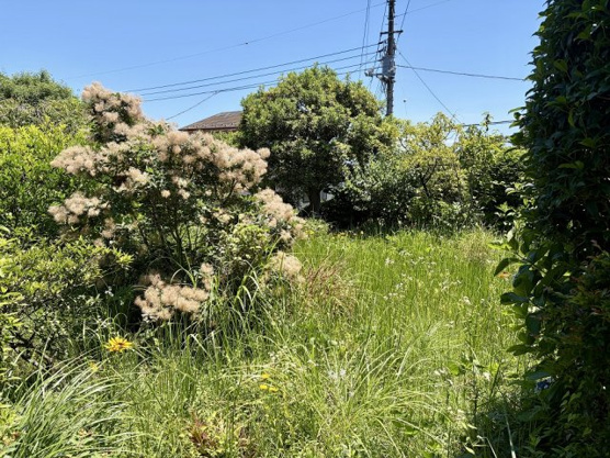 【ダイニング】 | 大室高原別荘地　戸建