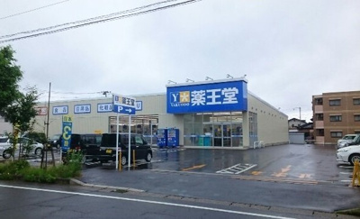 【周辺】 | パルプラザＢ | 薬王堂秋田東通店まで1000m