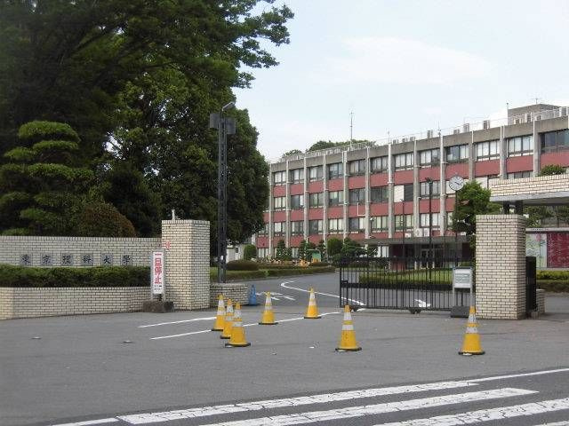 トレジャーアイランドの周辺