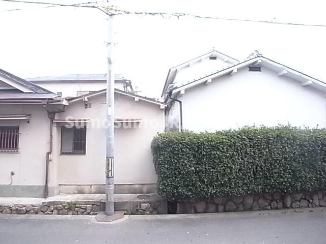 コートカトレアの展望