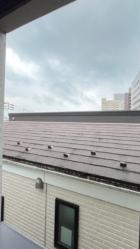 ＭＤＭ駒沢大学の展望