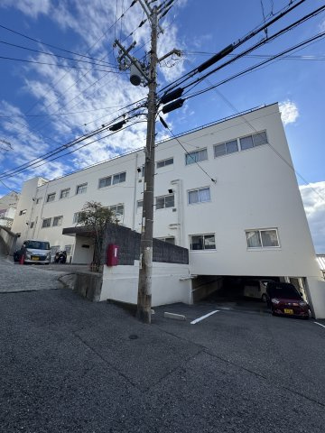 オオタニサンクレバーの外観