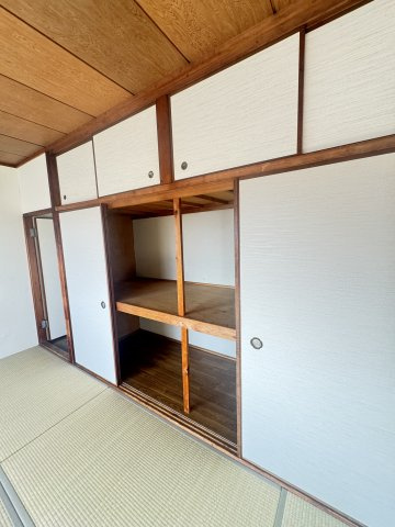オオタニサンクレバーの収納