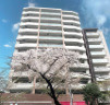 クリオ中村橋壱番館