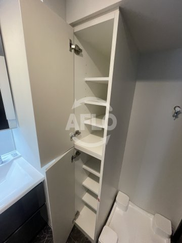 大阪市福島区海老江２丁目の賃貸マンションの収納|S-RESIDENCE福島diverse　洗面所収納