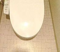 ＤＩＰＳ東十条のトイレ