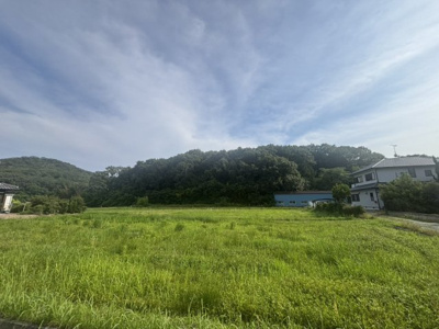 【外観】 | 小野市下来住町 山林