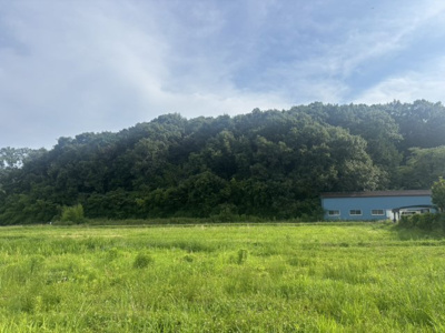【外観】 | 小野市下来住町 山林