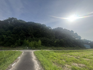 【外観】 | 小野市下来住町 山林