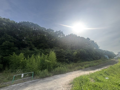 【外観】 | 小野市下来住町 山林