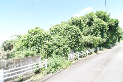 【外観】 | 肝属郡肝付町新富　売地（全2筆）