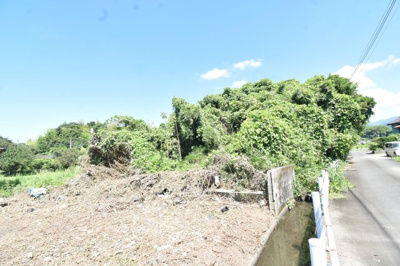 【外観】 | 肝属郡肝付町新富　売地（全2筆）