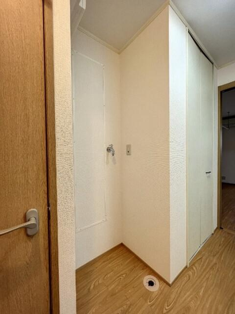 参考写真
