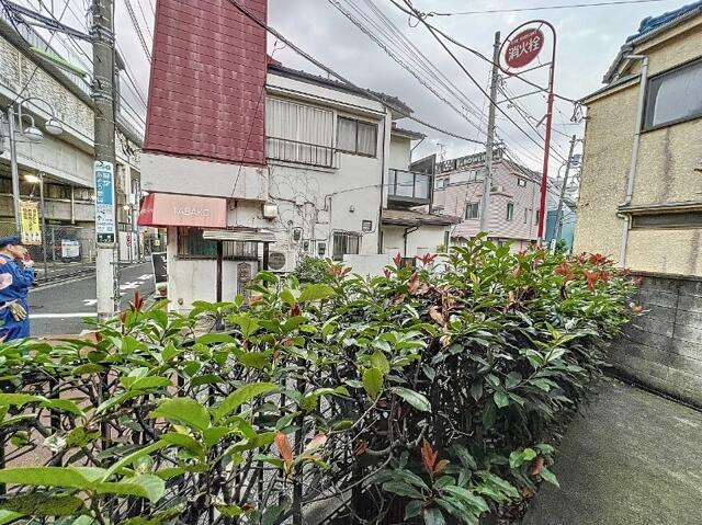 参考写真
