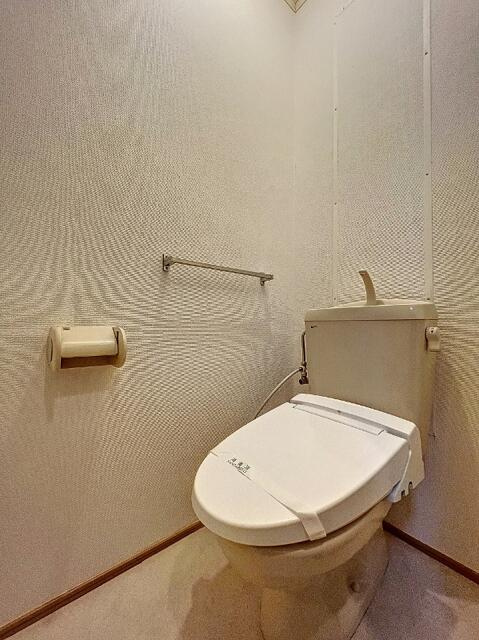 参考写真