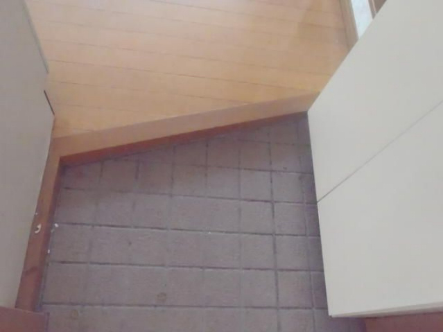 厚木市田村町の賃貸マンションの玄関
