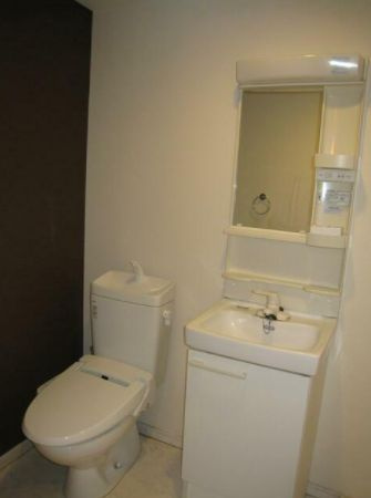 デュプレクス白山のトイレ|トイレです