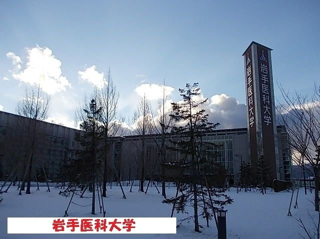 スターライトシティＥの周辺|岩手医科大学まで2400m