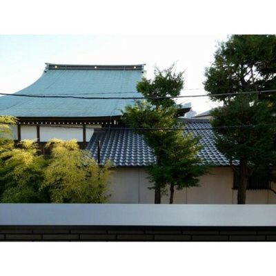 【展望】 | Ａｖｅｎｉｒ　Ｎｉｓｈｉｋａｍａｔａ