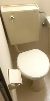 板橋区三園１丁目の賃貸マンションのトイレ|※別部屋参考写真