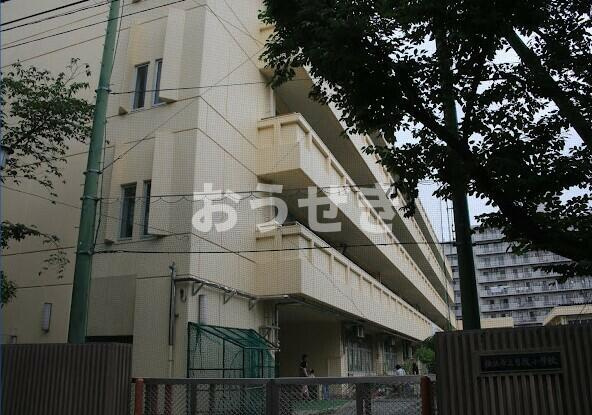 クレール　セントラルの周辺|横浜市立日枝小学校まで161m