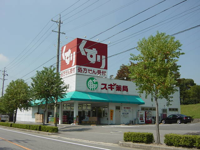 アーバンコートＴ．Ｂ棟の周辺|スギ薬局上地店まで512ｍ