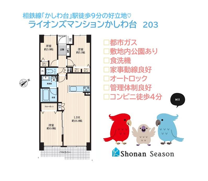 【現地画像あり】ライオンズマンションかしわ台の間取り|快適な新生活がお迎えできる3LDK新規・大規模リノベマンション◎　
水廻りが集中した家事ラク動線！
キッチンには「食洗機」を搭載し、食後の家事負担が軽減できますよ♪