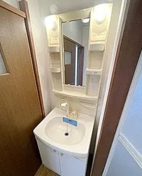 川越市砂新田４丁目の賃貸マンションの洗面所|※別部屋参考写真