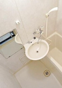 座間市相模が丘５丁目の賃貸マンションの洗面所