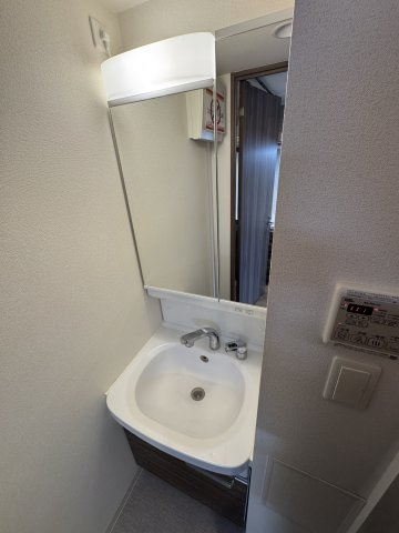 プレサンス丸の内アドブルの洗面所