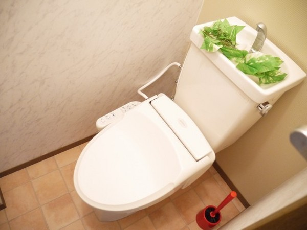 クレール大善寺【キャッシュバック対象物件】のトイレ|落ち着いた色調のトイレです